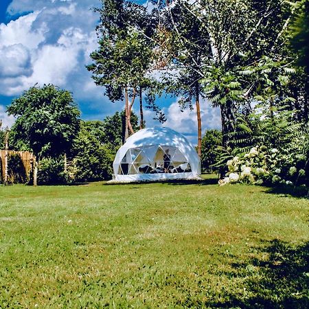 B Our Guest At Your Cozy Hideaway Dome Near Dresden Frauendorf  Exterior foto